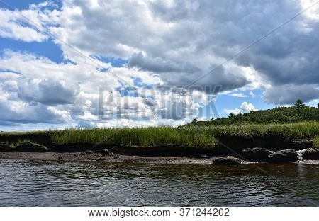 Marsh Grass Growing Out Of The Mud Flats Beside A Tidal River.