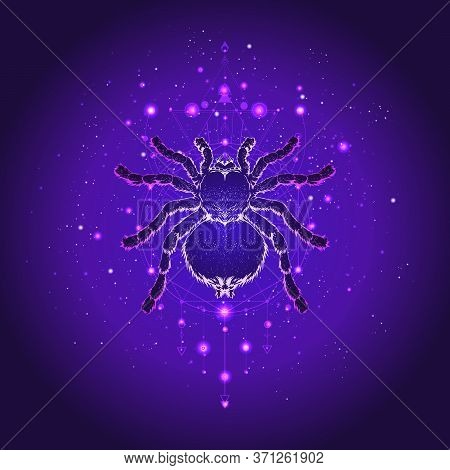 Vector Illustration With Hand Drawn Spider Tarantula And Sacred Geometric Symbol Against The Starry 