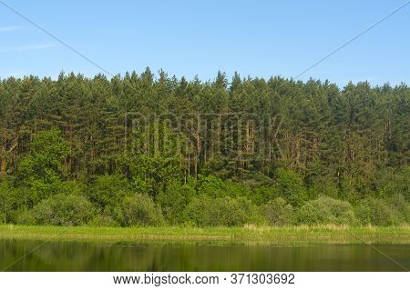 Orekhovoe Lake Outside The City Gorodok, Vitebsk Region