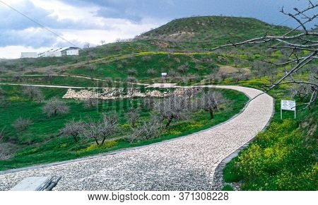 A Rocky Pathway In The Middle Of A Forest Of Green Trees