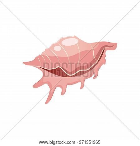 Pink Golden Sea Shell Stock Vector Illustration Isolated On White Background