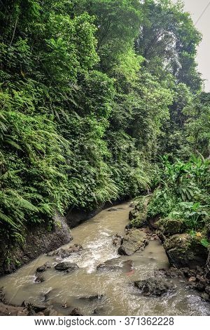 Small River Near Beautiful  Tibumana Waterfall (air Terjun Kanto Lampo) Not Far From Ubud, Bali, Ind