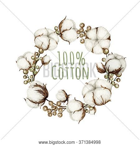 Watercolor Cotton Flower Branches Frame. Cotton Flowers Buds Balls In Vintage Style. Botanical Hand 