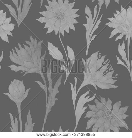 Dahlia Seamless Pattern.hand Draawn Pensil Botanical Illustration.fabric,textile Design.