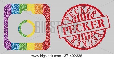Distress Pecker Stamp Seal And Mosaic Photocamera Hole For Lgbt. Dotted Rounded Rectangle Collage Is