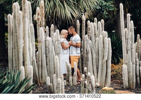 A Loving Couple Embraces Against The Backdrop Of Huge Cacti On The Island Of Tenerife.people In Love