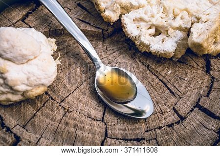 Close Up Of Hericium Erinaceus Or Lions Mane Mushroom And Spoon With Mane Oil . Medical Mushroom Con