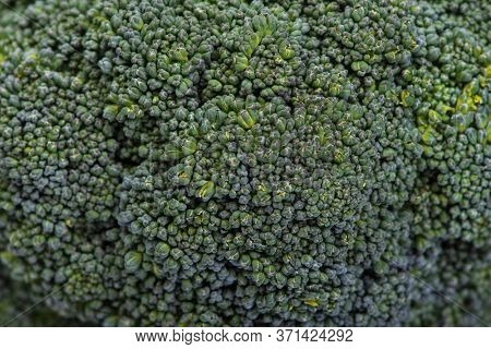 Close up of fresh green broccoli texture