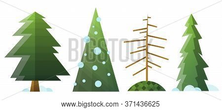 Collection Of Different Cartoon Green And Dead Fir Trees. Isolated Fir Trees With Snow For Happy New
