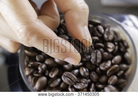 Fresh Roasted Blend Coffee Beans, Stock Photo