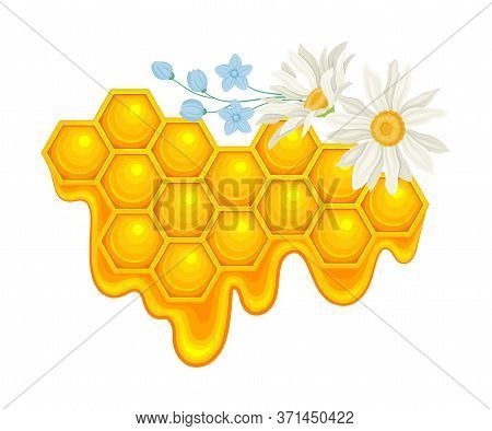 Honey Omb With Hexagonal Wax Cells And Flowers Vector Illustration