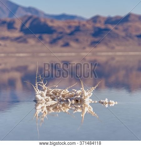 Square Crystallised Salt Formation Bonneville Salt Flats Day Light