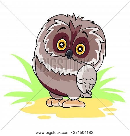 Cute Owl Character With Big Eyes Stands On The Grass, Naivety, Fear, Confusion, Confusion, Protectio