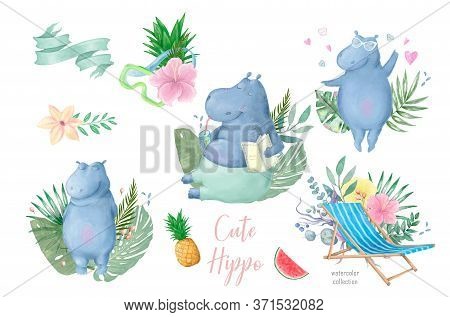 Hand Drawn Cute Isolated Tropical Summer Watercolor Hippo Animals. Hippopotamus Funny Cartoon Animal
