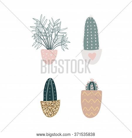 Collection Of Decorative Houseplants Isolated On White Background. Set Of Beautiful Natural Home Dec