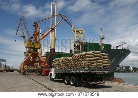 Ilheus, Bahia / Brazil - March 26, 2012: Workers Are Seen Disembarking Cocoa Beans At The Port Of Il