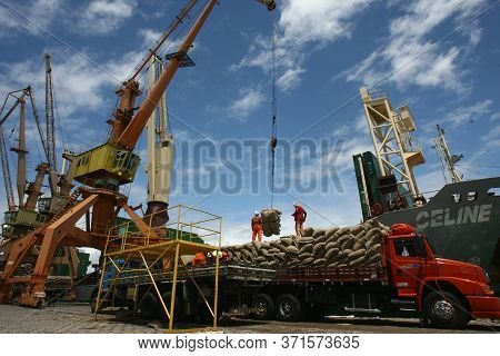 Ilheus, Bahia / Brazil - March 26, 2012: Workers Are Seen Disembarking Cocoa Beans At The Port Of Il