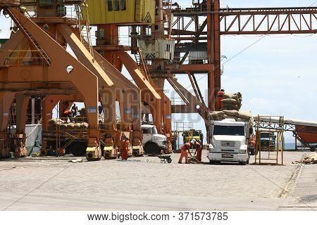 Ilheus, Bahia / Brazil - March 26, 2012: Workers Are Seen Disembarking Cocoa Beans At The Port Of Il