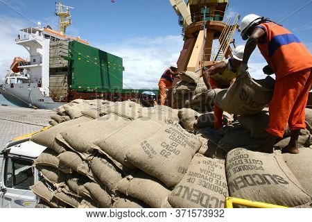 Ilheus, Bahia / Brazil - March 26, 2012: Workers Are Seen Disembarking Cocoa Beans At The Port Of Il