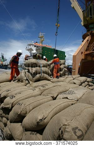 Ilheus, Bahia / Brazil - March 26, 2012: Workers Are Seen Disembarking Cocoa Beans At The Port Of Il