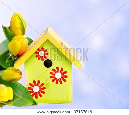 Světlé dřevěné nestbox a žluté tulipány, přes modré