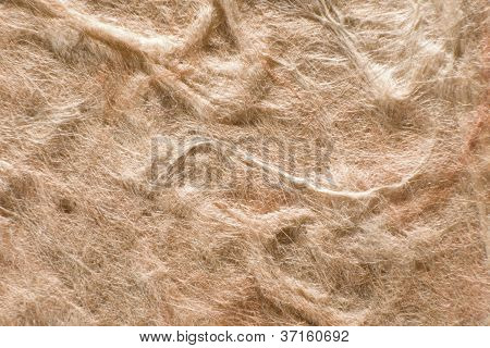 Luce posteriore Felty marrone