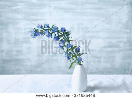 Blueweed flower in white vase. Copy space.