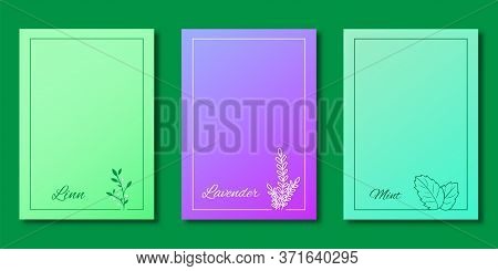 Set Of Covers Design, Lavender Mint Linn Tree With Gradient Background, Pattern Of Covers Template S