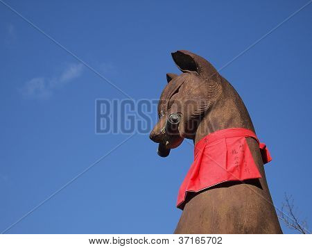 Fox socha v Kjótu