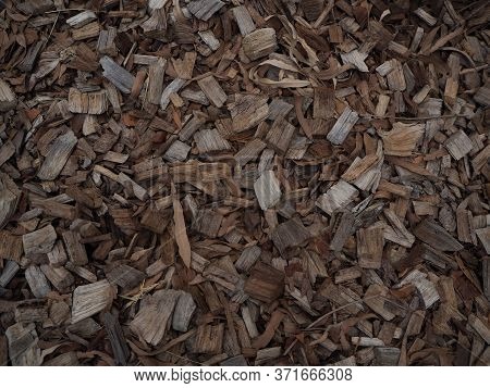 Little Wood Background Texture, Wood Chips Pattern