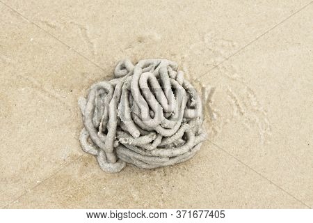 A Pile Of Sand Form Made By Sea Worm On The White San Beach