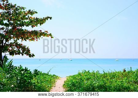 A Tree Of Bengal Almond Or Olive-bark Tree Stand On The  Beach And Many Boats  In The Blue Sea Are B