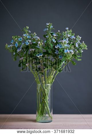 Beautiful Bouquet Of Blue Flowers In A Transparent Glass Vase.