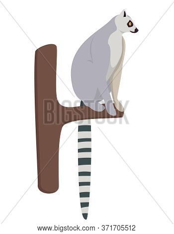 Lemur Sitting On Tree. Cute Animal In Cartoon Style Isolated On White Background.
