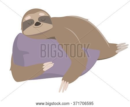 Sloth Sleeping On Pillow. Vector Illustration In Cartoon Style Isolated On White Background.
