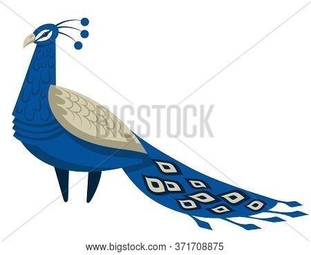 Peacock With Beautiful Tail. Bird In Cartoon Style Isolated On White Background.