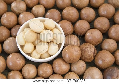 Macadamia Nuts - Macadamia Integrifolia. Top View