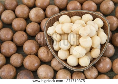 Macadamia Nuts - Macadamia Integrifolia. Text Space