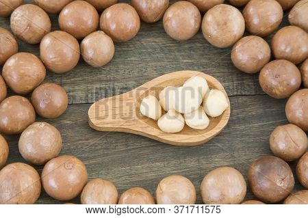 Macadamia Nuts - Macadamia Integrifolia. Wood Background