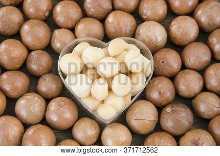 Macadamia Nuts - Macadamia Integrifolia. Top View