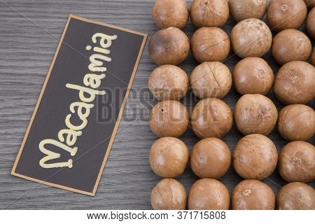 Macadamia Nuts - Macadamia Integrifolia. Top View