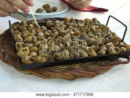 Cargols A La Llauna, Or What In The Rest Of Spain We Know As Caracoles A La Llauna, Is A Very Typica