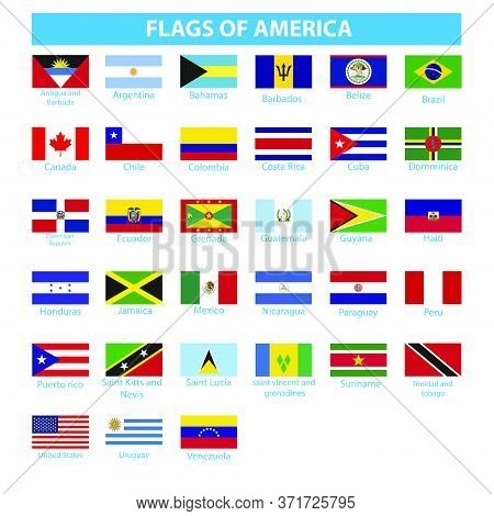 Flag Of Africa  Africa Flag Vector Nigeria Isolated,