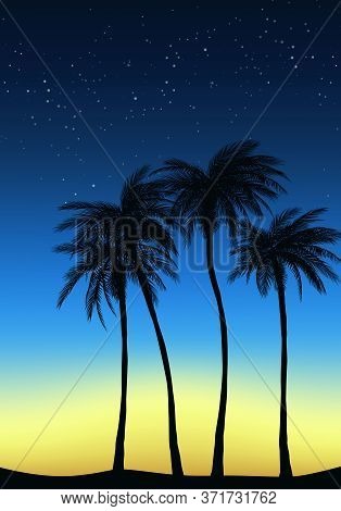 Summer Tropical Backgrounds Set With Palms, Sky And Sunset. Summer Placard Poster Flyer Invitation C