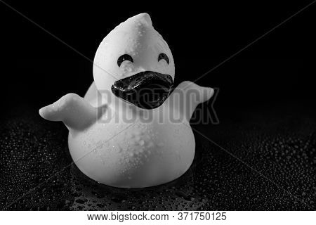 Rubber Duck Toy On A Reflective Surface Covered With Water Droplets In Black & White