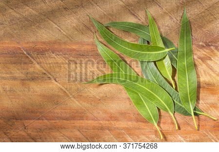 Fresh Eucalyptus Leaves On Wooden Background - Eucalyptus Globulus