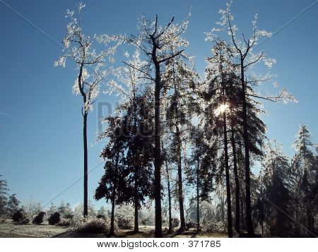 Icestorm1