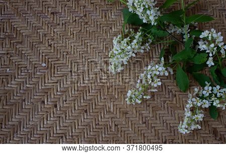 Organic Ecological Materials. Natural Rottan, Branch With Cherry Blossom.