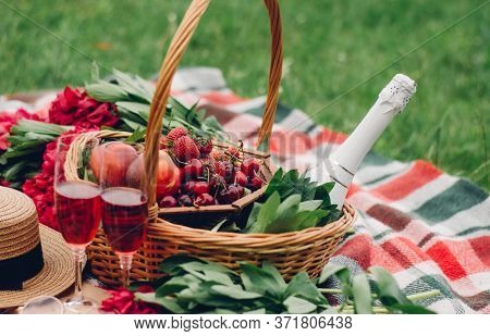 mood in the park on a red blanket with the opportunity to read a book and enjoy fruits and berries