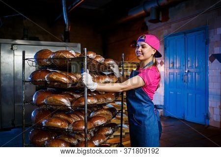 A Baker Girl Takes Hot Bread In A Bakery Against The Background Of Shelving With Bread. Industrial P